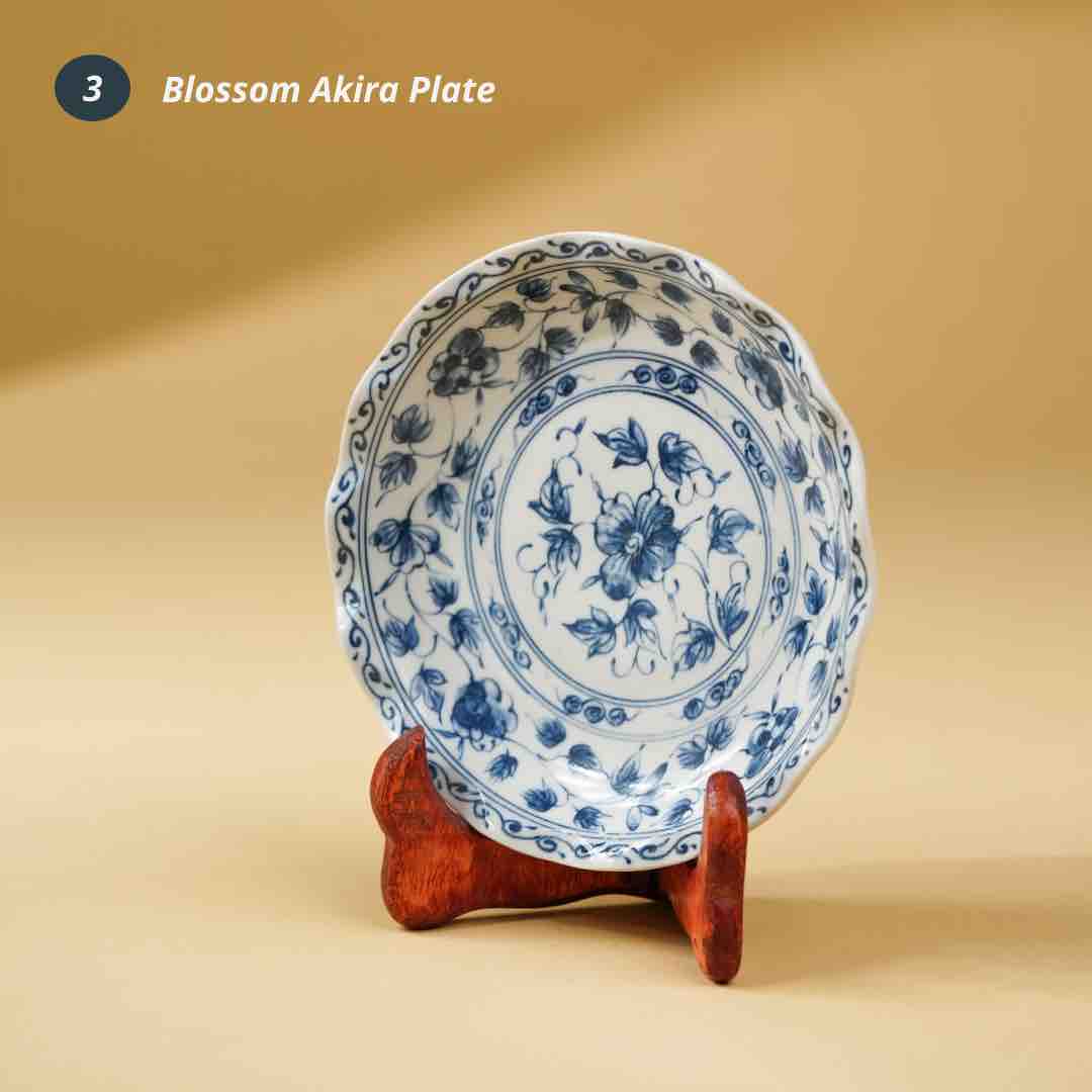 Akira Plates: Gift Set of 2